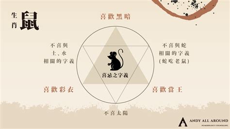 屬鼠姓名學|生肖鼠 (子)命名喜好與禁忌 